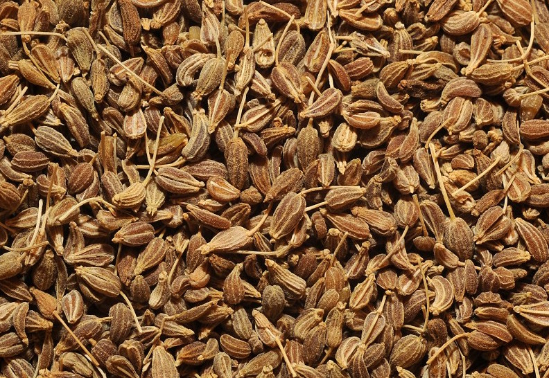 Anise