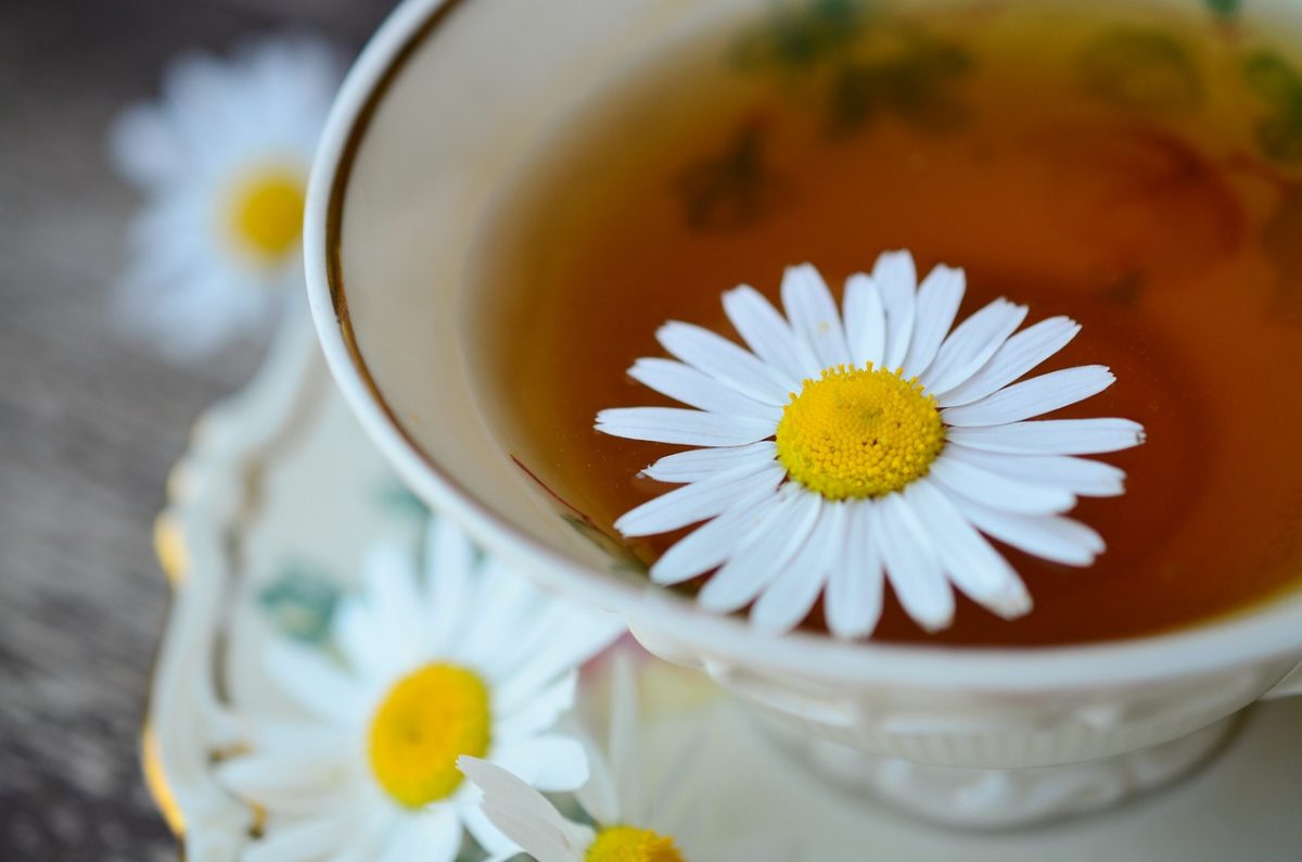 CHAMOMILE