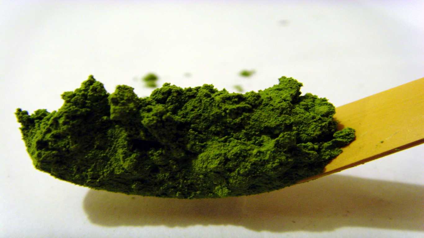 GREEN TEA