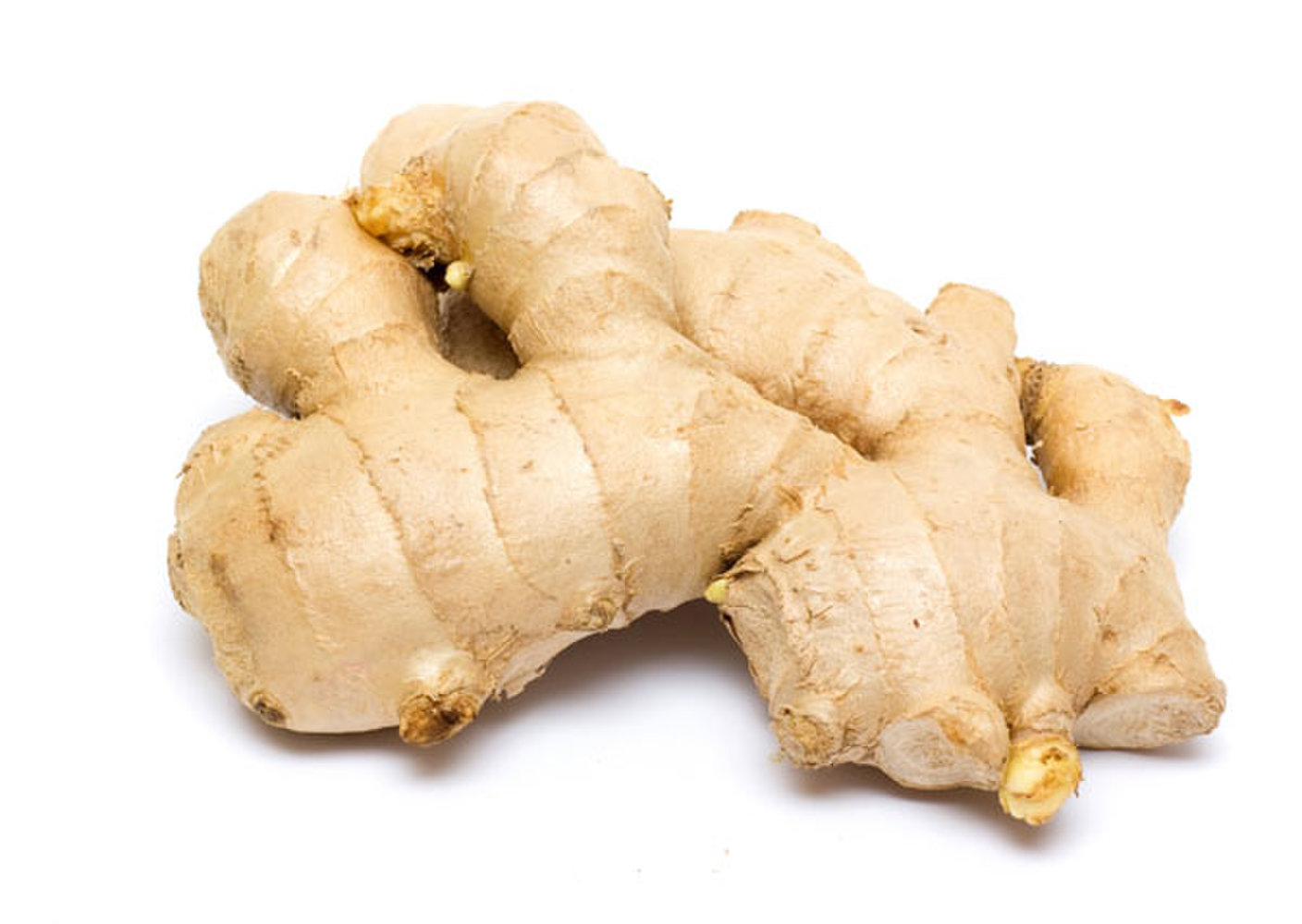 GINGER