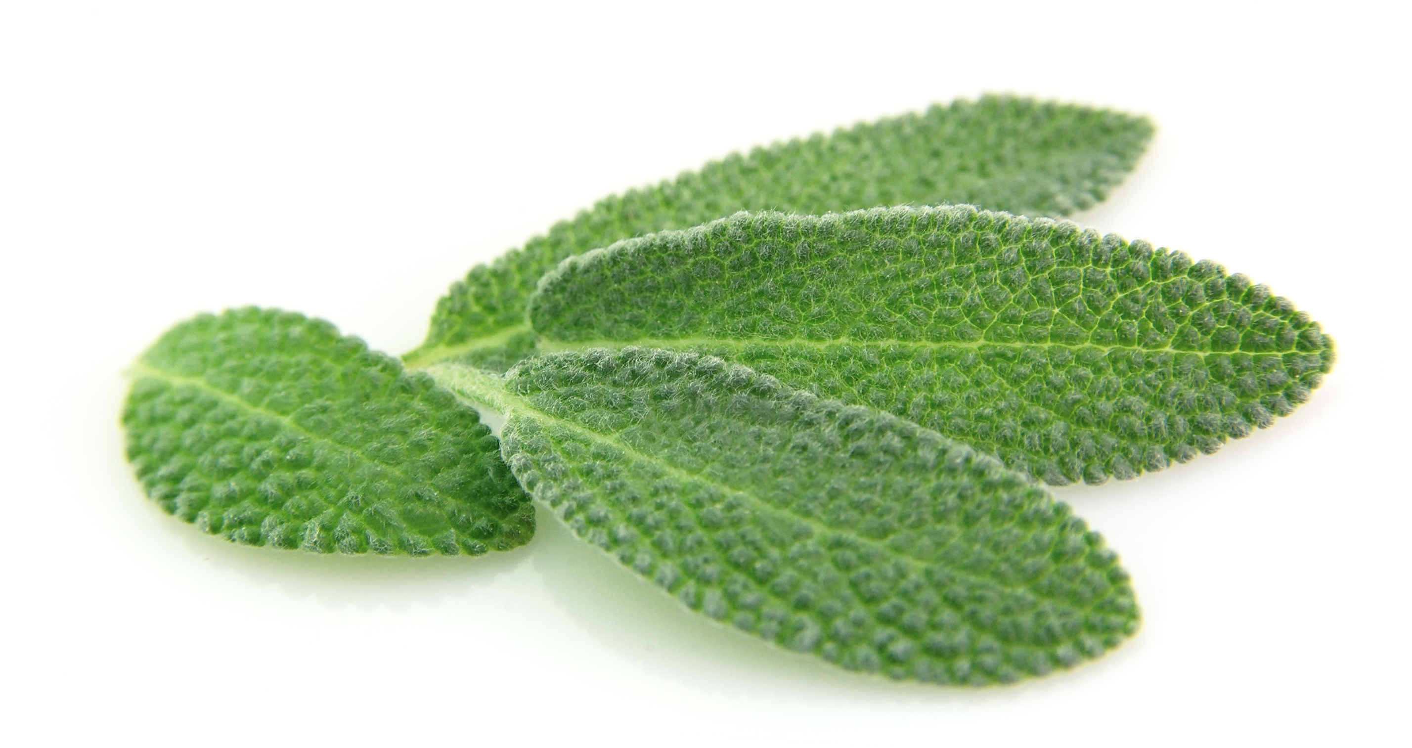 SAGE