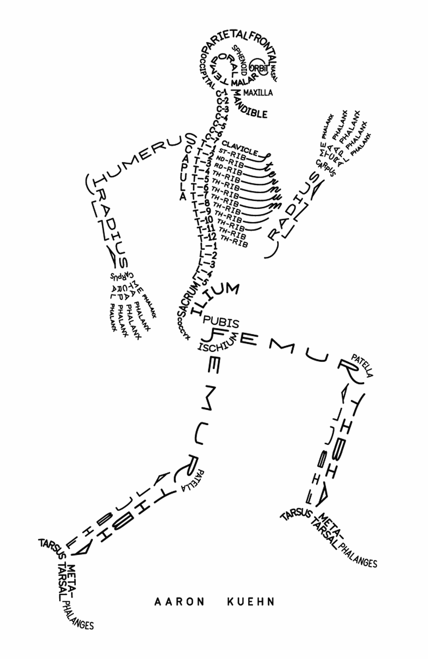 MIND YOUR BONES