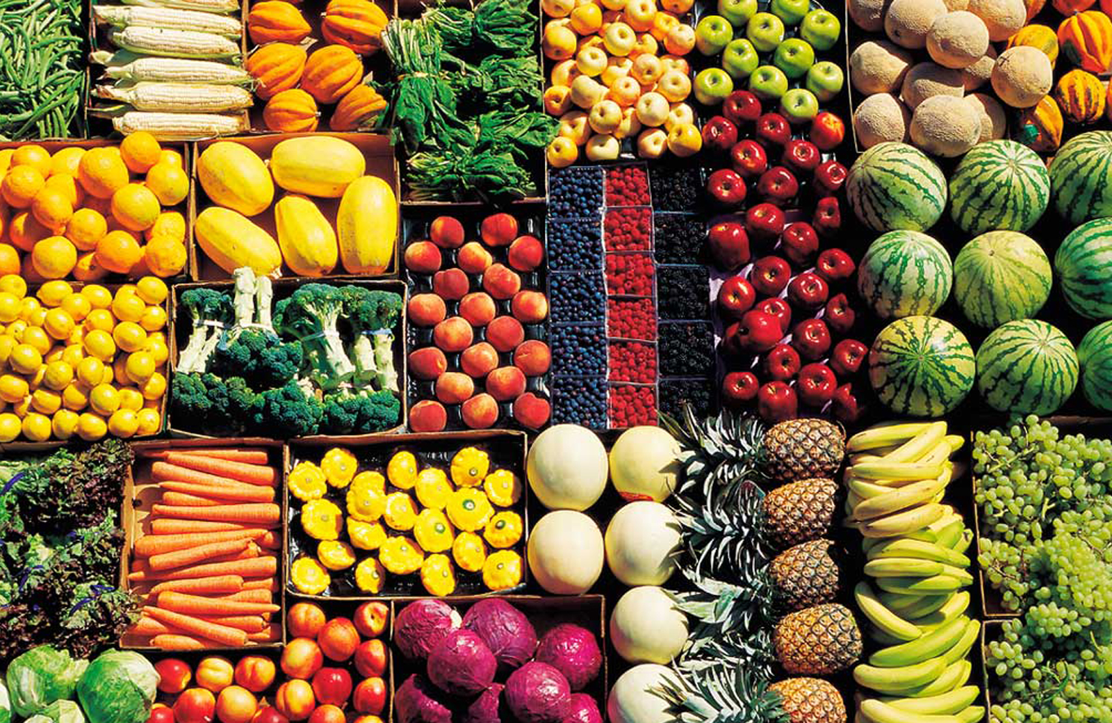 WHY IS PROPER NUTRITION SO IMPORTANT FOR ADOLESCENTS
