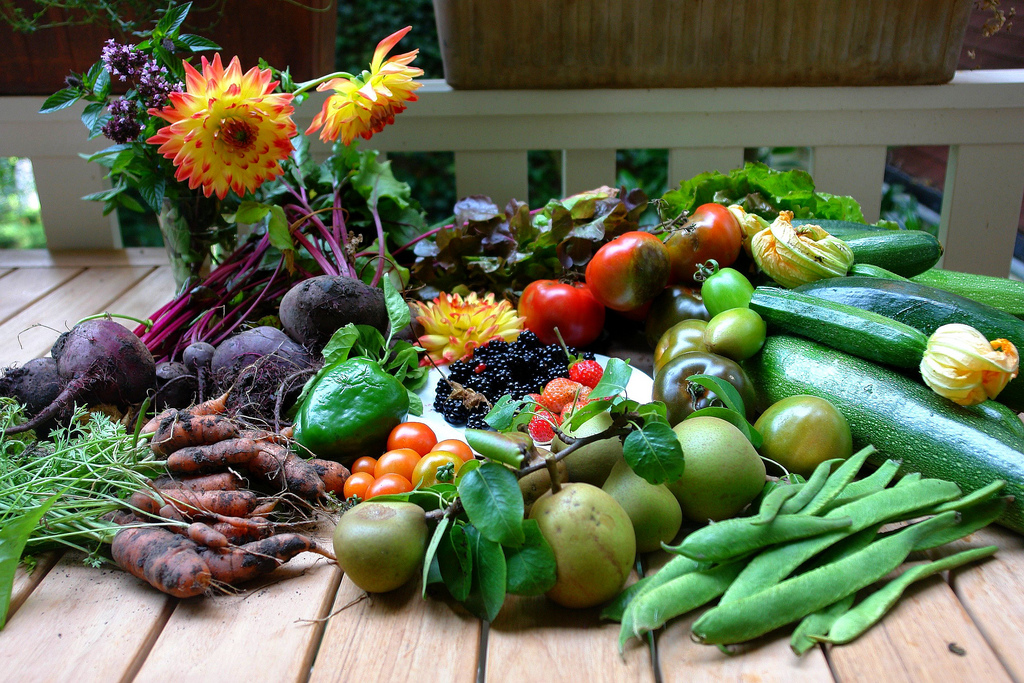 FOODS TO KEEP YOUR VAGINA HEALTHY AND  HAPPY