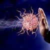 hack your immune system